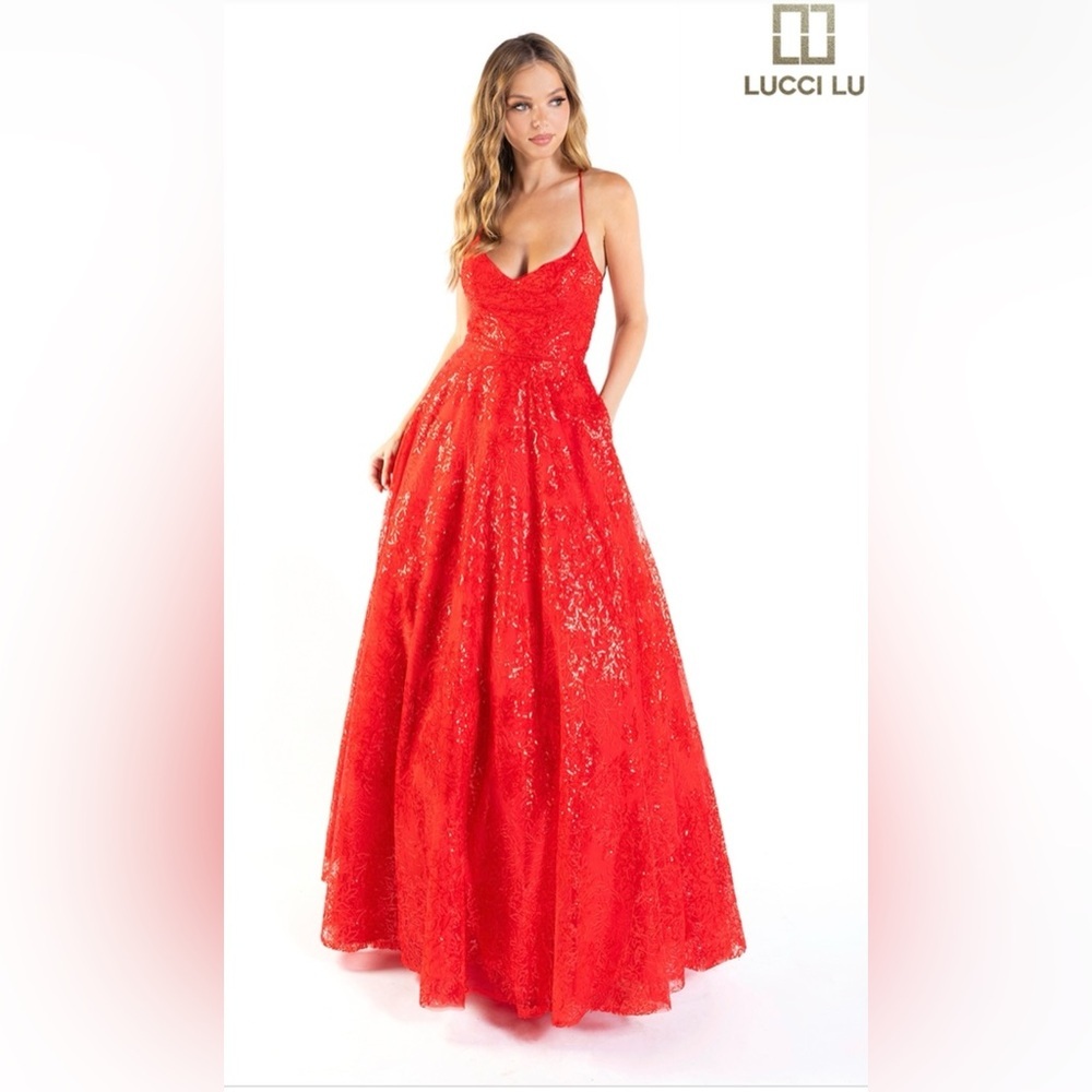 LUCCI LU ball gown Embroidered Tulle New with tag Size 0